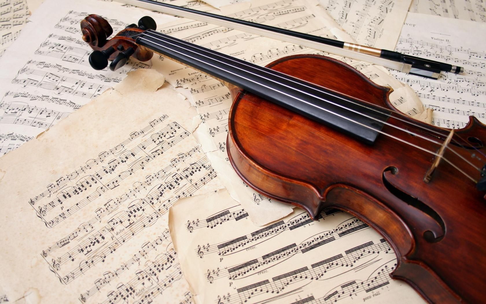 Viola 4/4 L1431 Maciza Terminacion Mate HEIMOND LA FUSA