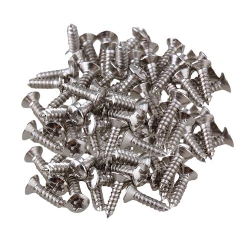 Tornillo Cromado PickGuard x Unidad Sinew LA FUSA