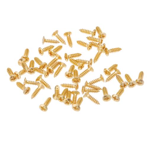 Tornillo Dorado pickGuard x Unidad Sinew LA FUSA