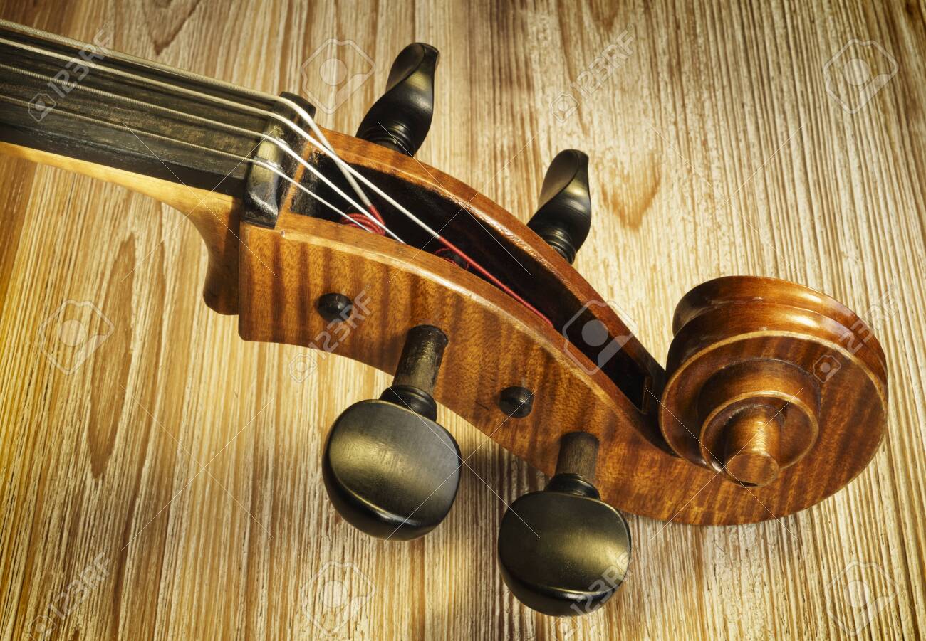 Clavija Para Cello STPEGCEC De Madera X Unidad PARQUER - Imagen 2