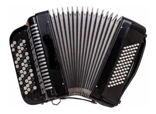 Acordeon 72 Bajos 5 Registros Tipo Verdulera DENVER LA FUSA