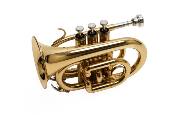 Trompeta Pocket 3 Pistones Gold PTPCN Con Estuche PARQUER