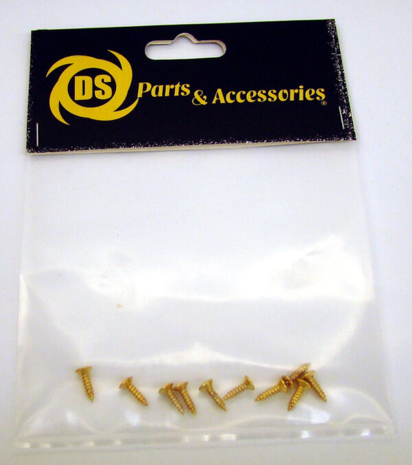 Tornillos DSA143 Para Sujeción Jack de Salida Oval Phillips Dorado X 10 Unidades