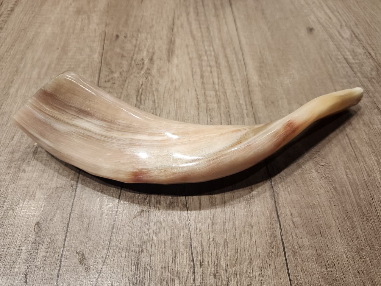 Cuerno De Oveja Shofar De Israel, Judaísmo De 32cm, Mishaan Tradicional MI RAZA