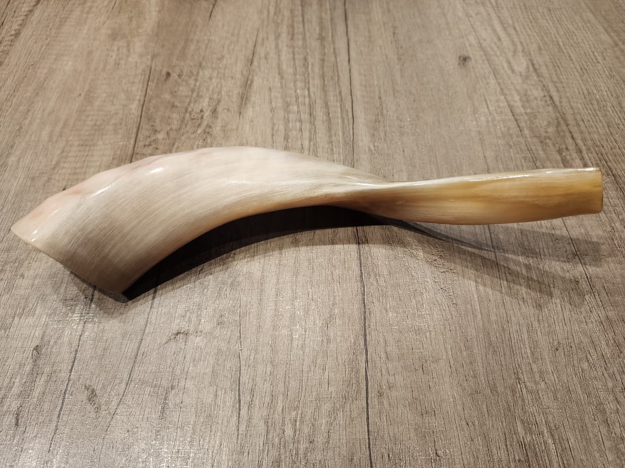 Cuerno De Oveja Shofar De Israel, Judaísmo De 32cm, Mishaan Tradicional MI RAZA - Imagen 2