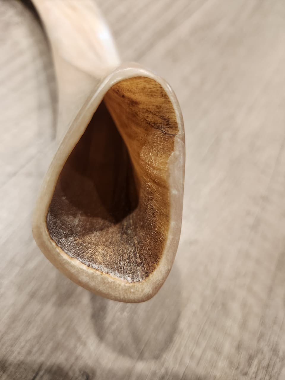 Cuerno De Oveja Shofar De Israel, Judaísmo De 32cm, Mishaan Tradicional MI RAZA - Imagen 3
