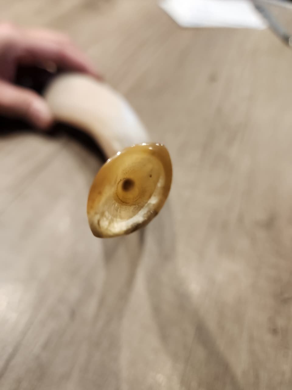 Cuerno De Oveja Shofar De Israel, Judaísmo De 32cm, Mishaan Tradicional MI RAZA - Imagen 4