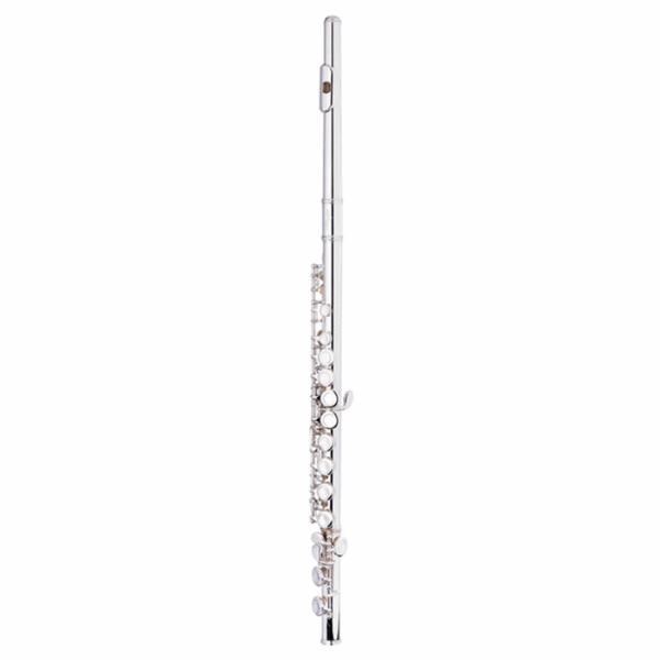 Flauta Traversa WSFL111 "C"-16 Llaves Cerradas-Con Estuche STAGG MJ MUSIC