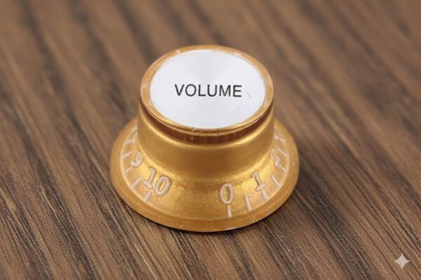 Perilla Les Paul C2010 Sombrero Volumen O Tono Sinew LA FUSA