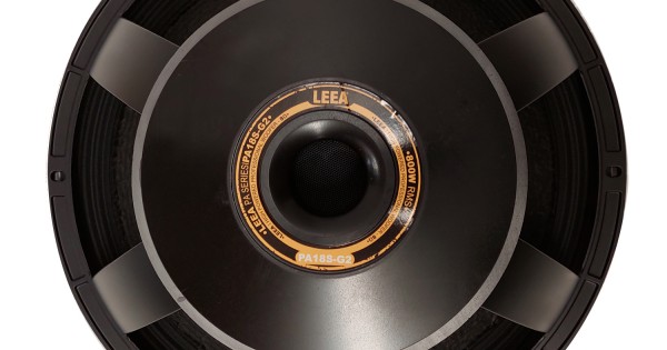 Parlante De 18 Pulgadas PA18S-G2800 Watts RMS LEEA XPRO